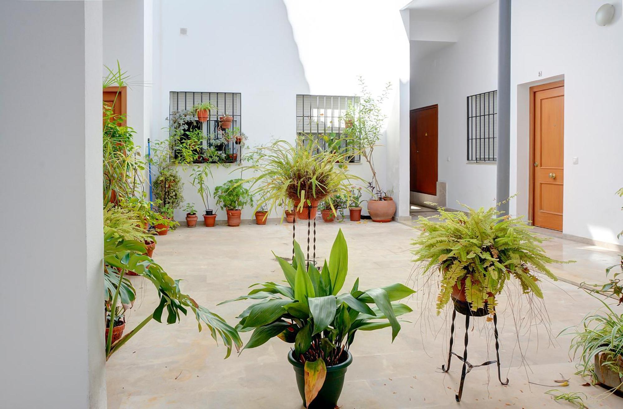 Estudio Plaza De La Encarnacion Sevilla Dış mekan fotoğraf